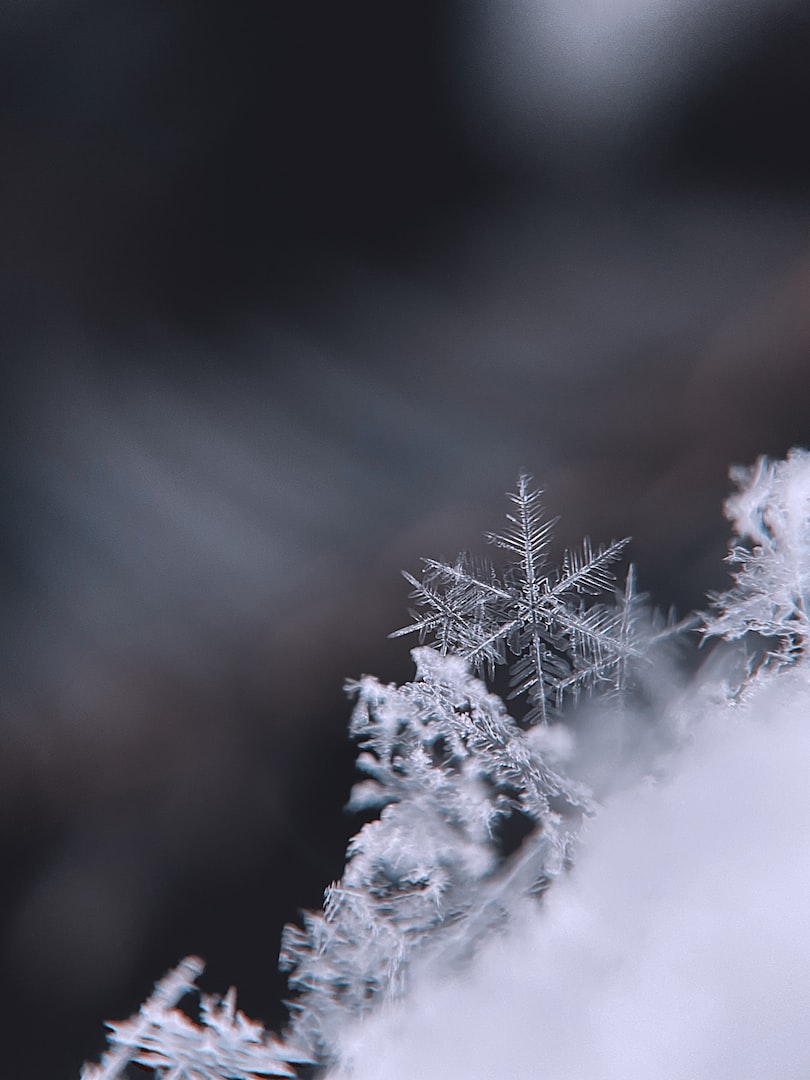 snöskottning i uppsala